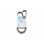 Ремінь генератора Peugeot 605 2.0 89-99/ Ford Fiesta1.8 95-03/ Honda Civic/ Fit/ Jazz 1.2-1.4 02-
