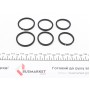 Ремкомплект супорта (переднього) Audi A6 10- (d=32/34/38mm) (+6 поршнів) (Brembo)