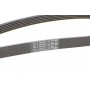 Ремінь генератора Audi A4/A6/A8 2.4/2.6/2.8 95-