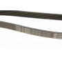 Ремінь генератора Jeep Grand Cherokee II 2.7 CRD 01-05 (6PK2603)