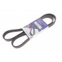 Ремінь генератора Citroen Berlingo/Jumpy/Peugeot Expert/Partner 1.6HDI (6PK1355)
