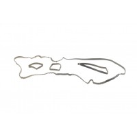 Прокладка кришки клапанів Ford Focus/Mondeo 2.0 ST/SCTi 10- (к-кт)