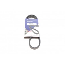 Ремінь генератора Ford Focus 2.5 ST 05-12/Mitsubishi Lancer 1.5/1.6 08- (5PK895)