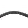 Ремінь генератора Ford Focus 1.8/2.0 04-12 (6PK1249)
