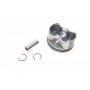 Поршень Audi A3/A4/VW Passat 1.6 96-10 (81.01mm/STD)