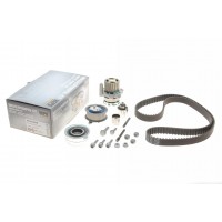 Комплект ГРМ + помпа VW Golf VI/Skoda Octavia/Superb/Audi A3 2.0TDI 04-13 (160x25)(P569)