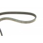 Ремінь генератора Hyundai Elantra/ Matrix 1.8 01-10/ Nissan Micra 1.0-1.4 02-10/ Note 1.4 06-12