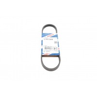 Ремінь генератора Chevrolet Aveo/Daewoo Kalos 1.2 03- (4PK648)