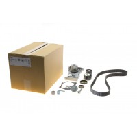 Комплект ГРМ + помпа Renault Kangoo/Dacia Logan/Sandero 1.4/1.6 16V 01- (27.4x132z)