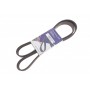 Ремінь генератора Ford Connect 1.8Di/TDCi 02-08 (6PK1425)