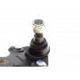Опора кульова (передня/знизу) Toyota Rav4 2.0 4WD 94-00