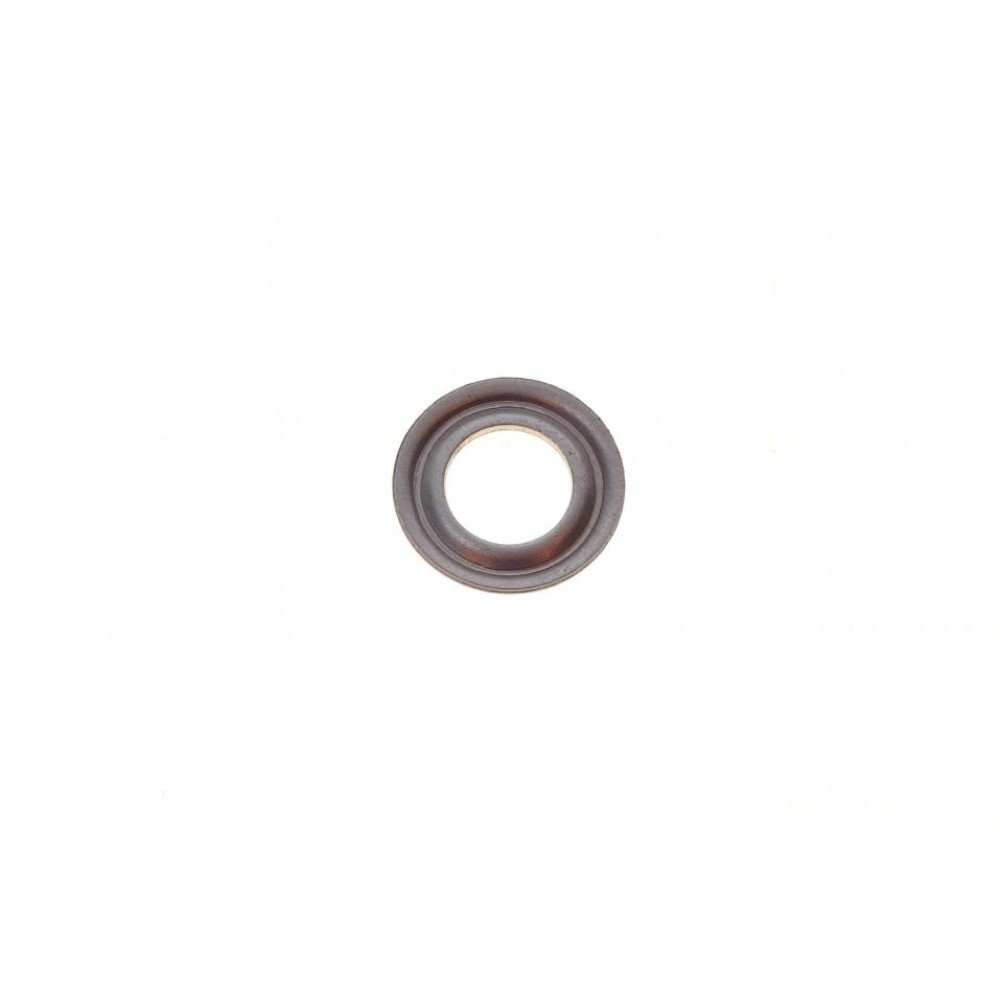Шайба под форсунку Peugeot Partner/Boxer/Citroen Jumper 1.9D/2.5D 94-02 (7.1x13.5x1.1) (к-кт 100шт)