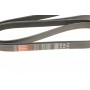 Ремінь генератора MB C-class (W203)/E-class (W124/W211) 93-09 M104/M112/M113