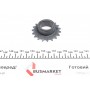 Шестерня насосу масляного Renault Kangoo 1.4i/1.6i/Trafic/Master 1.9 dCi 97-