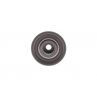 Ролик ГРМ Mazda 323/626/MX-3/MX-6 1.8-2.5 92- (паразитний) (60x33)