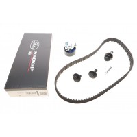 Комплект ГРМ Ford Mondeo/Focus 1.4/1.6i 03-/Volvo C30/S40/V50 1.6 05-12 (22x117z)
