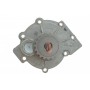 Помпа води Ford Focus II/Mondeo IV/Kuga I 2.5 05-/Renault Laguna 2.0/Volvo 95- (19z) (R/B) (7 лоп)