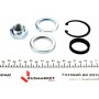 Підшипник маточини (задньої) Renault Megane/Clio 01- (25x52x37)(к-кт)