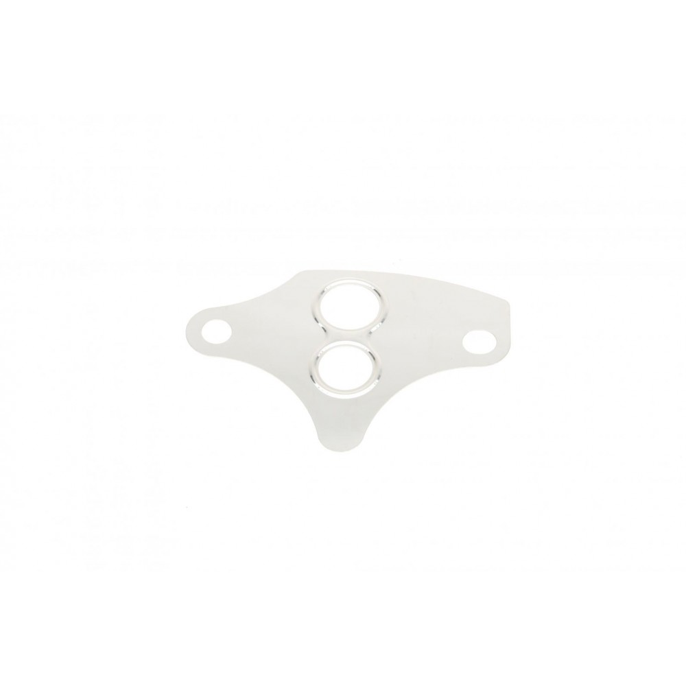 Прокладка клапана EGR Citroen Jumpy/Peugeot Expert 2.0i 00-06