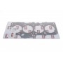 Прокладка ГБЦ Skoda Fabia/Octavia/VW Bora/Golf IV 2.0 99- (1.2mm)