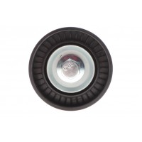 Ролик генератора Fiat Doblo/Ducato/ Opel Combo 1.6-2.0 D 10- (паразитний) (65х25.5)