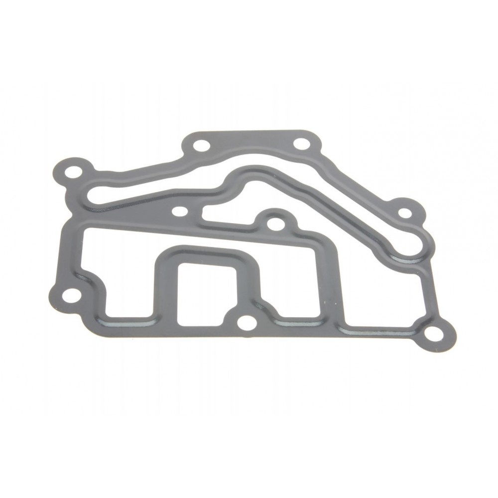 Прокладка термостата Renault Kangoo 1.6 16V 01-