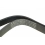 Ремінь генератора Fiat Scudo/Citroen Berlingo/VW Golf IV 1.8/1.9TDI 97- (6PK1658)