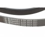 Ремінь генератора VW Amarok/Kia Sorento/Fiat Freemont 2.0/2.4/2.4 CVVT/3.0TDI 09-