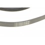 Ремінь генератора Ford Focus 1.4/1.6i 03-/Volvo C30/S40/V50 1.6 05-12 (6PK1059 ELAST+5PK868 ELAST)