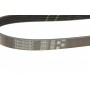 Ремінь генератора Ford Fiesta V/Fusion/Mondeo IV/Mazda 2/3/5 1.25-2.3 01-15