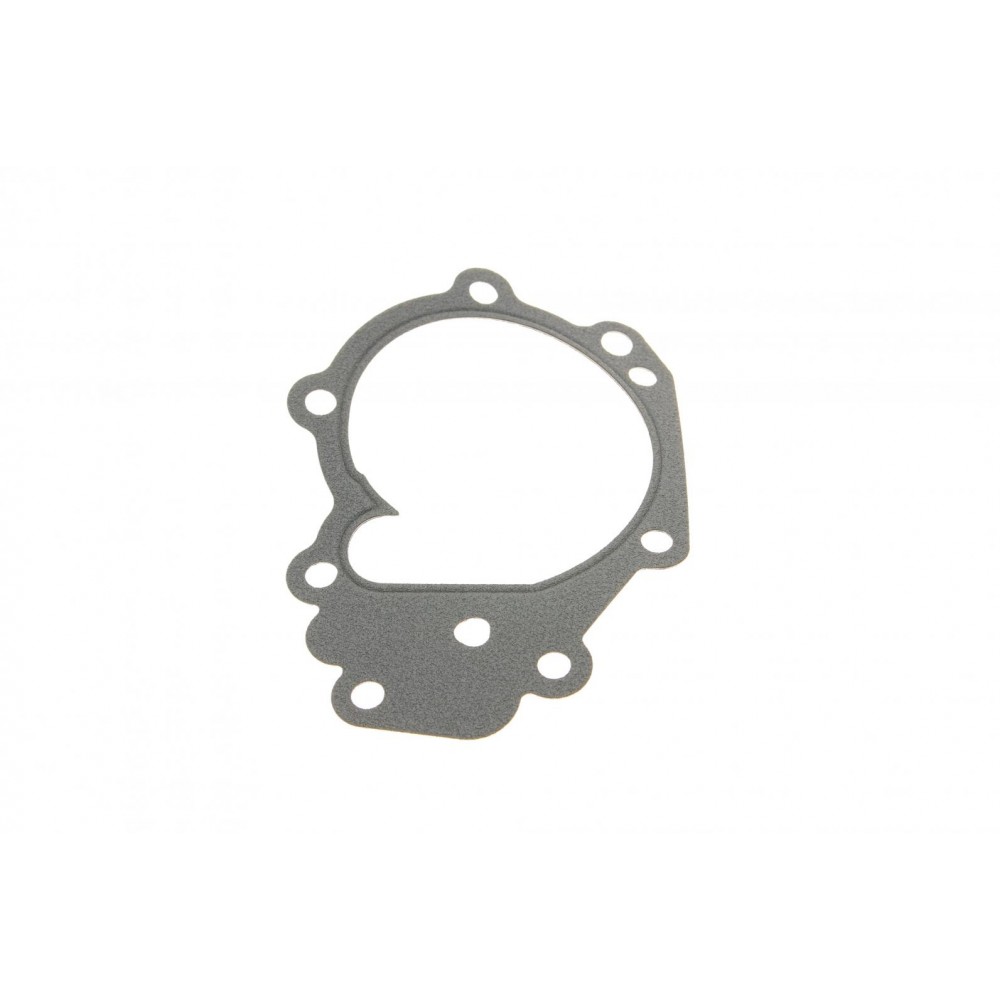 Прокладка помпи води Renault Kangoo 1.2 16V 97-