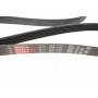 Ремінь генератора Peugeot Expert/Citroen Jumpy 1.9D/TD 96-/2.0HDI 00-