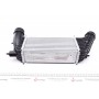 Радіатор інтеркулера Citroen Jumpy/Fiat Scudo/Peugeot Expert 2.0 HDI 07-