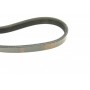 Ремінь генератора Citroen Jumper 1.9TD 94-02 (4PK698)