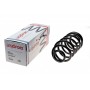 Пружина (задня) Opel Astra J 1.3-2.0CDTI/1.4-1.6 09- (крім FlexFix)/Chevrolet Cruze 09- (з пост.d)