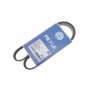 Ремінь генератора Mazda 323/626/ Opel Astra G/Vectra B/C 2.0/2.2 00-08 (5PK1030)