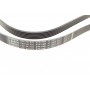 Ремінь генератора MB OM601/602 (6PK1980)