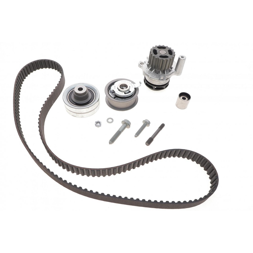 Комплект ГРМ + помпа Skoda Octavia/VW Golf IV 1.9 TDI 96-05 (25x141z)