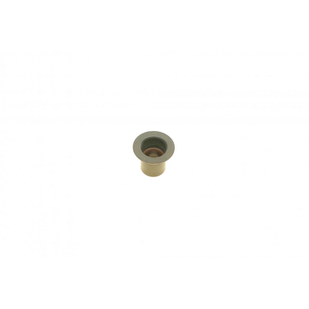 Сальник клапана (випуск) BMW (к-кт) B48/B58/N55