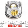 Поршень VW T5 1.9TDI (79.51mm/STD) (1-2 циліндр)