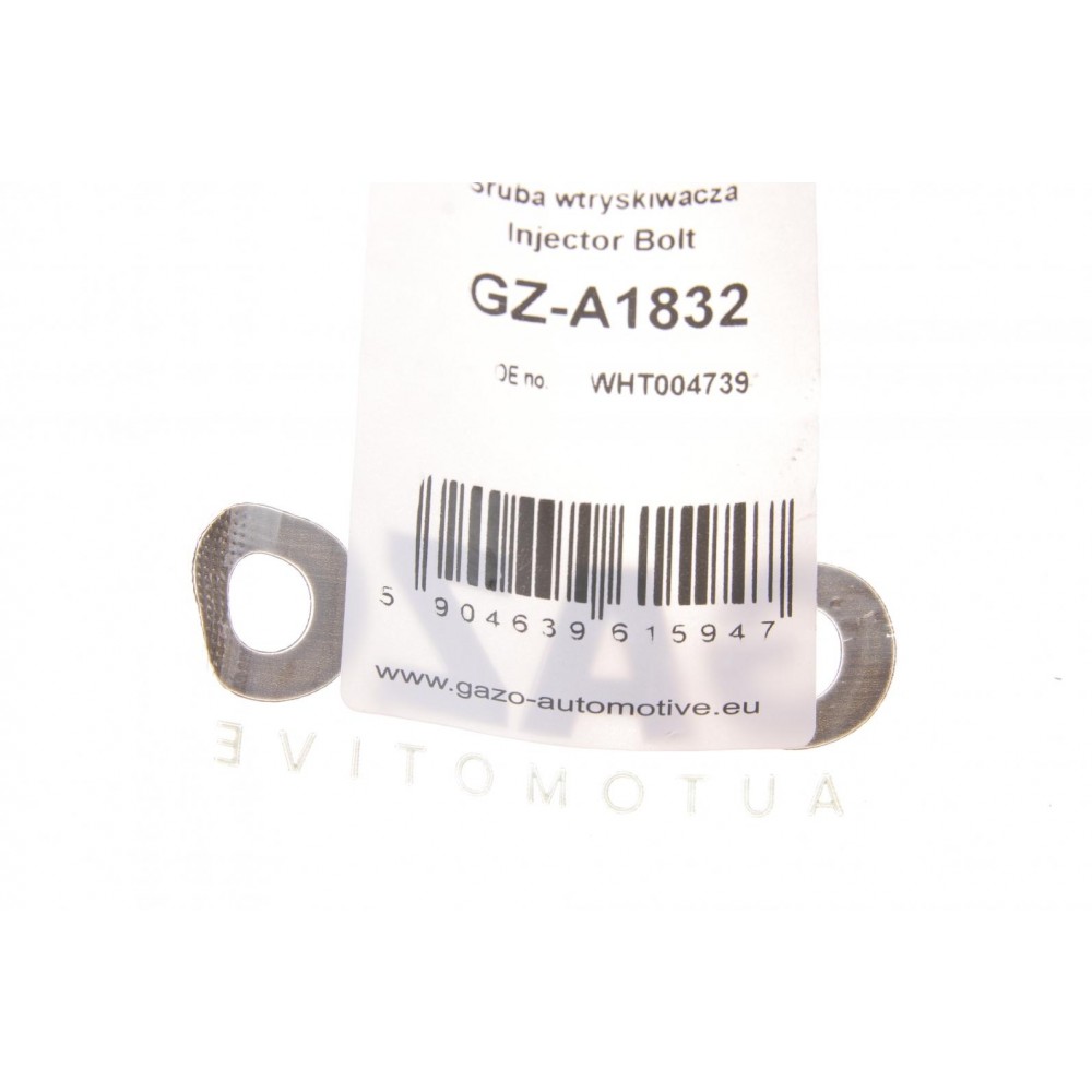 Болт кріплення форсунки VW Caddy/T5 2.0TDI 10- (к-кт 2шт.)