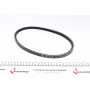 Ремінь генератора VW Caddy II/Golf III 1.9D/1.9TDI 91-