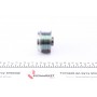 Шків генератора Renault Kangoo 1.9dCi 01-