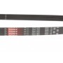 Ремінь генератора Ford Transit/Citroen Berlingo/Peugeot 308 1.6D 13-