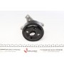 Помпа води Renault Laguna III/Megane III/Scenic III/Nissan X-Trail/Qashqai 2.0 16V 07- (R/B)(8 лоп)