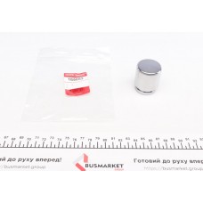Поршень супорта (заднього) Mitsubishi Outlander/Lancer 03-/Nissan Leaf 10- (замінено на 185052K)