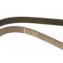 Ремінь генератора поліклиновий VW Golf/BMW/Ford/Opel (6PK1540)