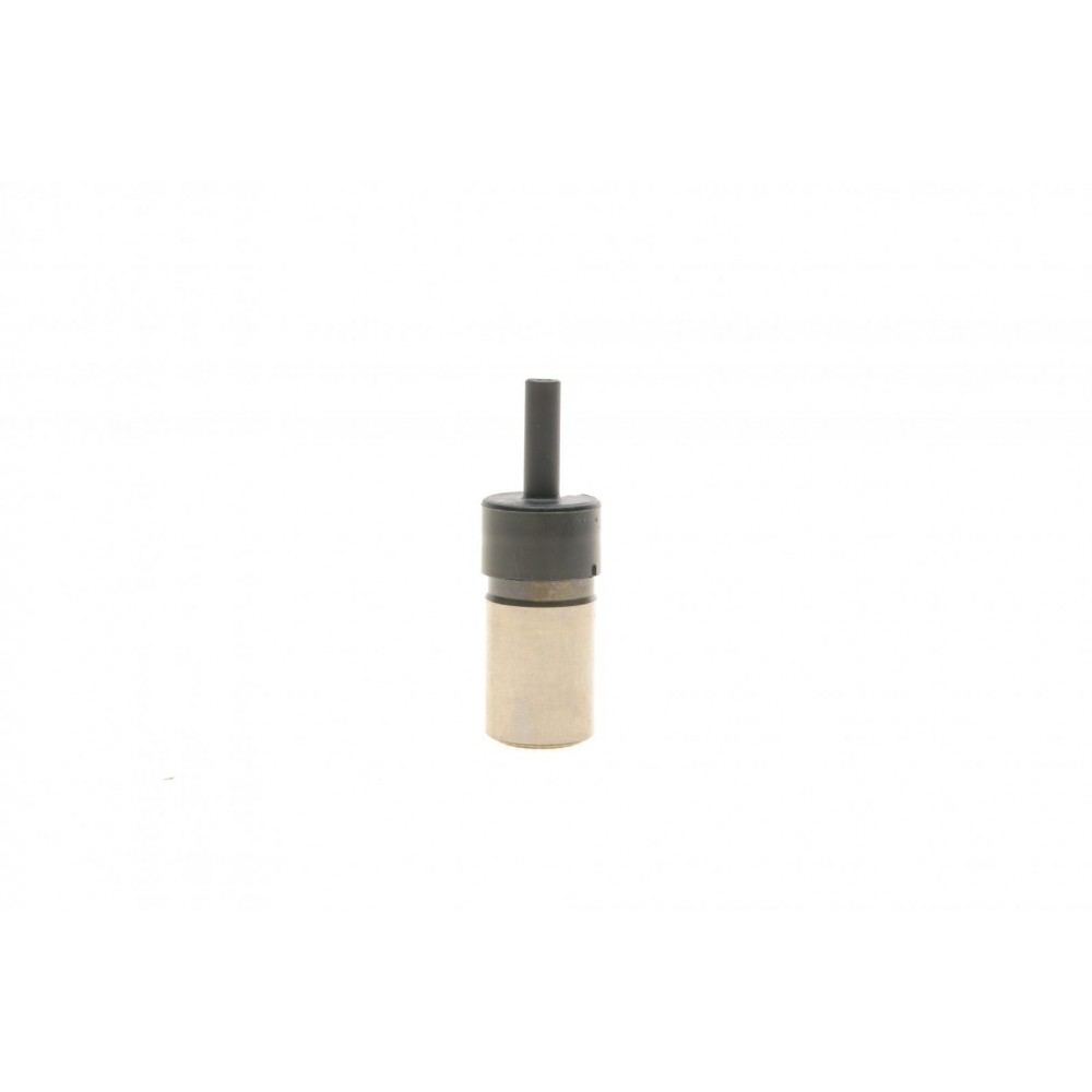Натягувач ланцюга ГРМ Mini 01-08 W10/W11
