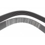 Ремінь генератора Renault Megane/Scenic 1.4 09-/Honda Accord/CR-V 2.2 i-CTDi 04- (7PK1785)