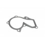 Помпа води Ford C-Max/Fiesta V/VI/Focus II-III/Fusion/Galaxy/Mondeo/Connect 1.25-1.6 01-